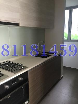 LORONG HOW SUN (D19), Condominium #81578952